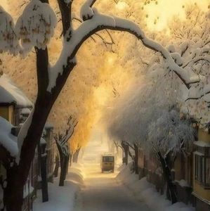 Meet your Posher, German